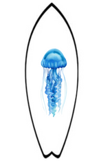 Jellyfish Sticker