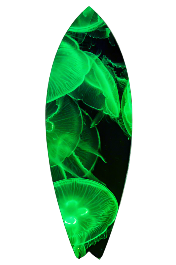 Jellyfish Surf Wrap